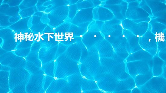 神秘水下世界，機(jī)器人探秘的奇幻之旅！